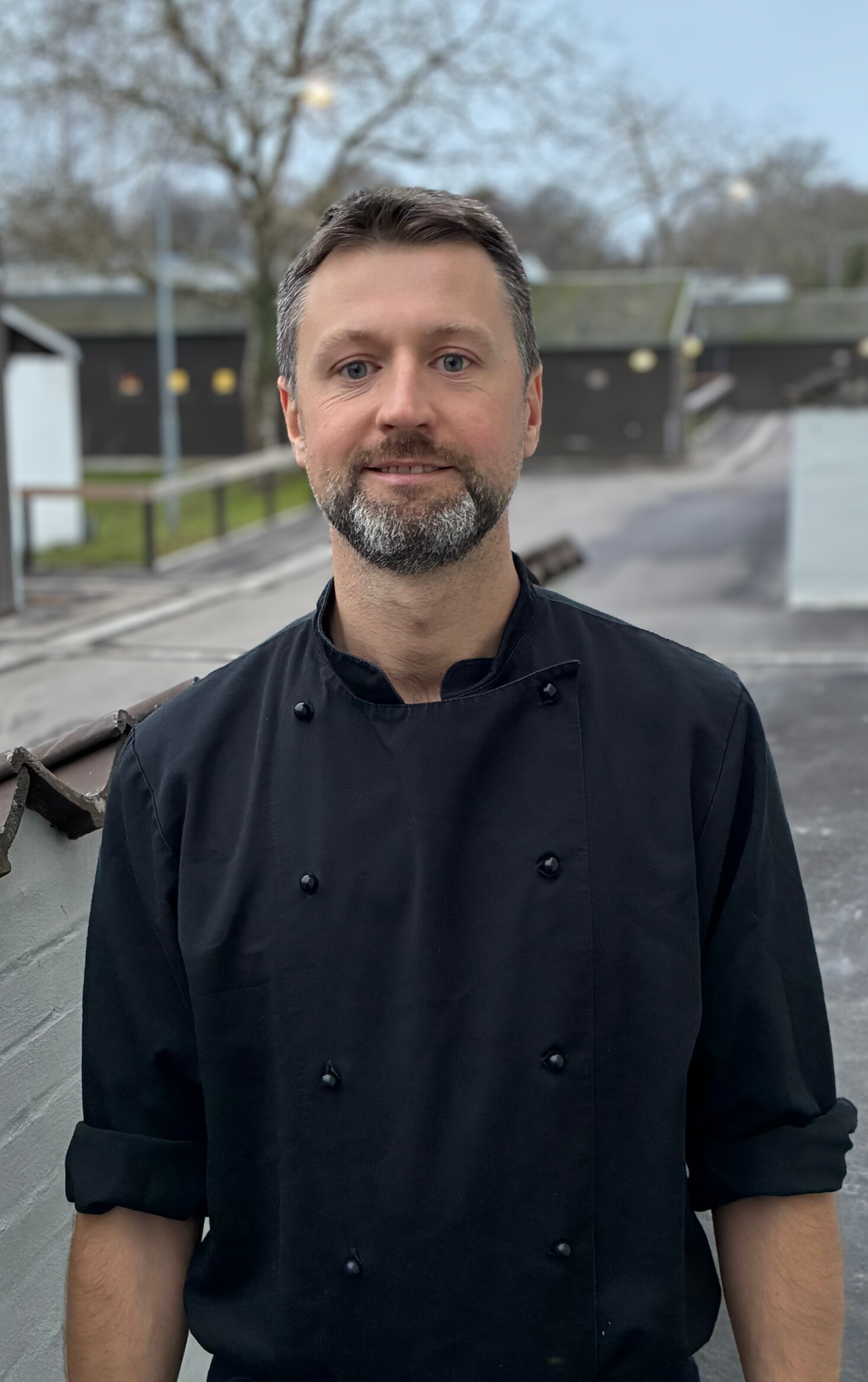 Ainis Zibolis